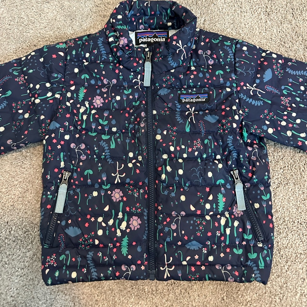 Patagonia Down Puffer Jacket